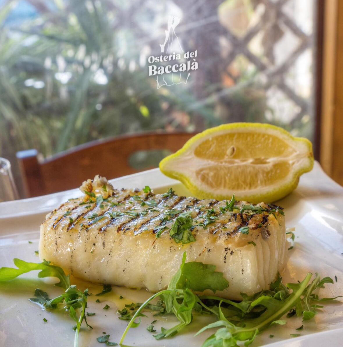 Baccalà grigliato osteria del baccalà